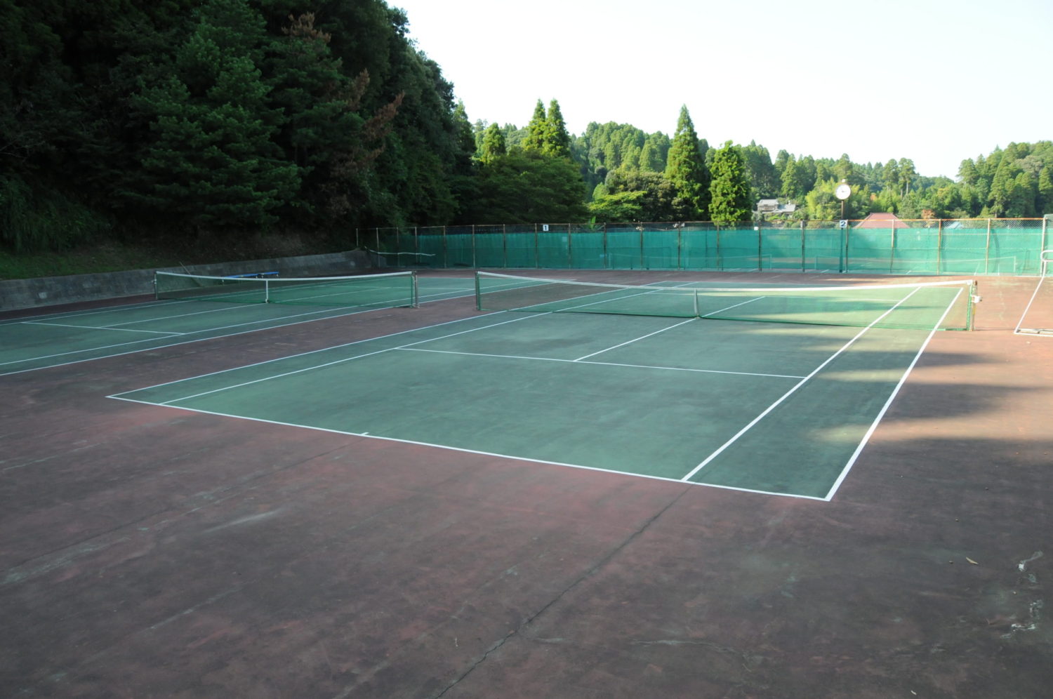 東金青年の森公園