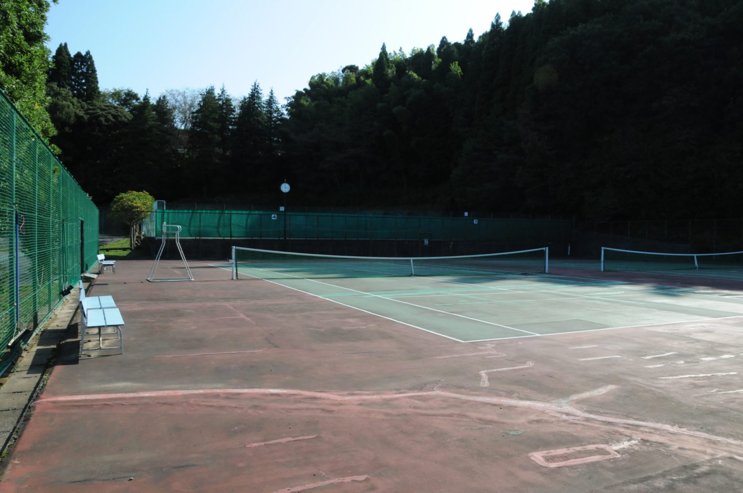 東金青年の森公園